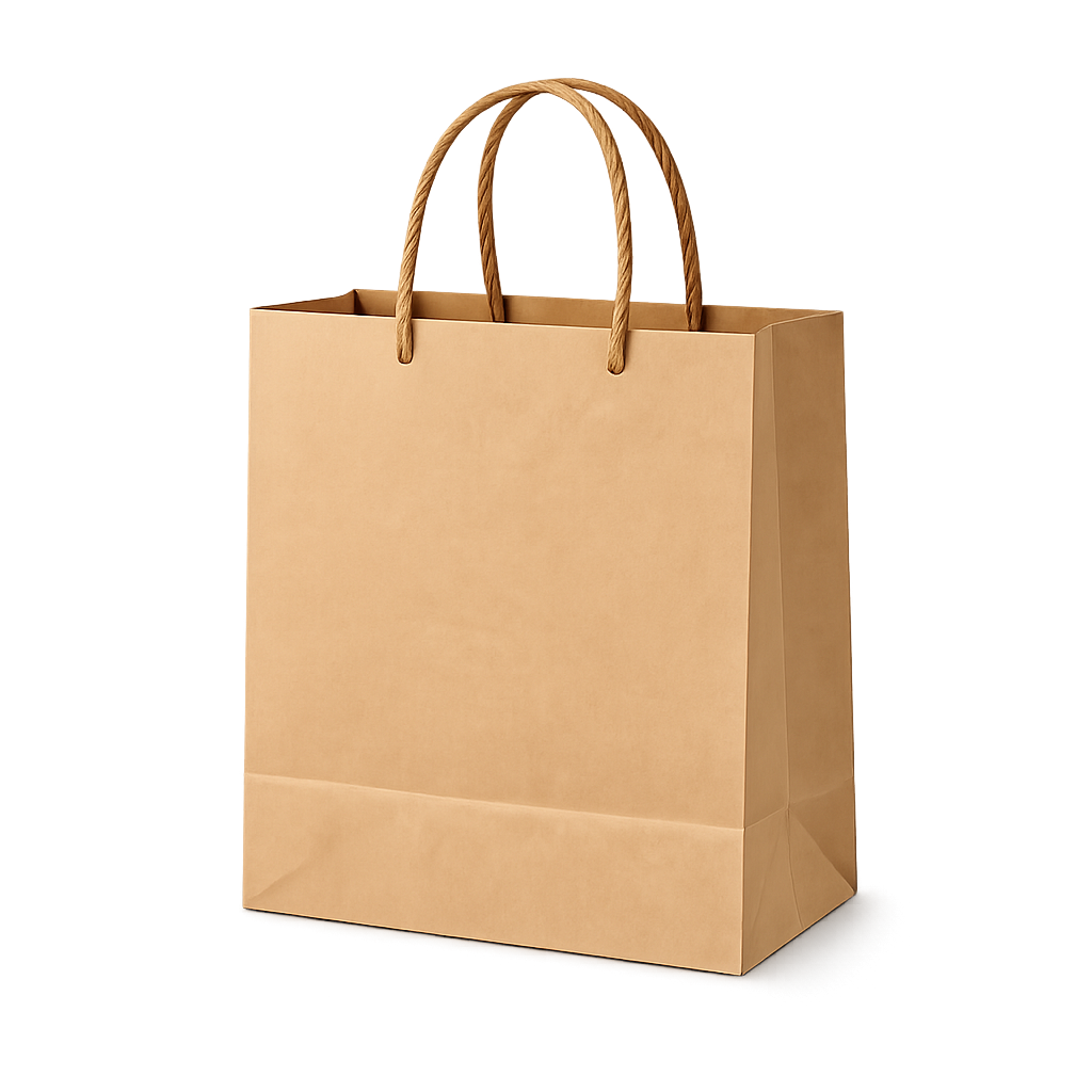 Medium Kraft Paper Bag with Twisted Handles (100 GSM)